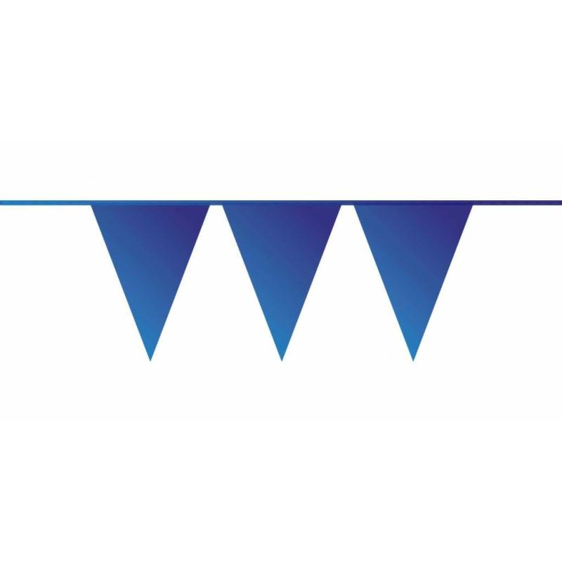 Blauwe vlaggenlijn 10 meter