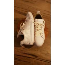 Store converse schoenen maat 40als nieuw