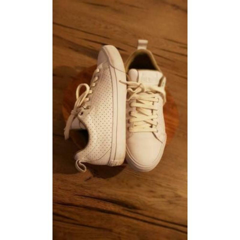 Store converse schoenen maat 40als nieuw