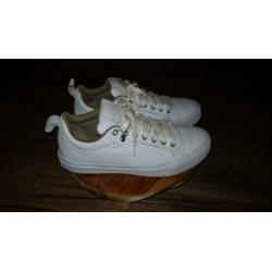 Store converse schoenen maat 40als nieuw