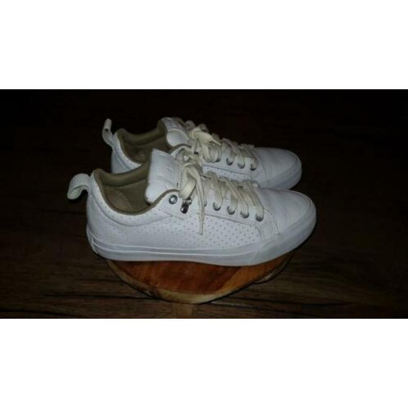 Store converse schoenen maat 40als nieuw