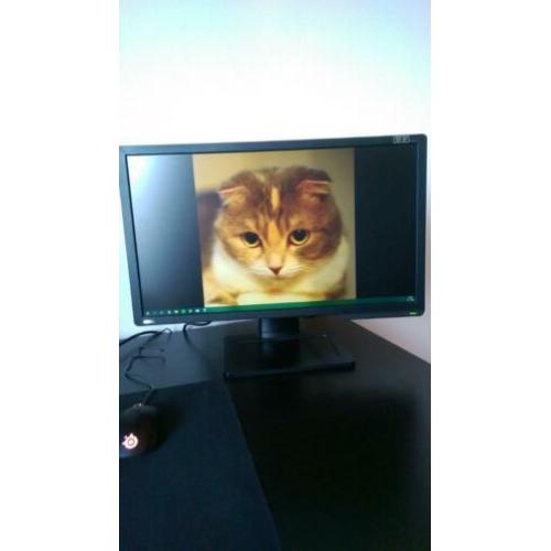 BenQ XL2411Z 144hz Monitor