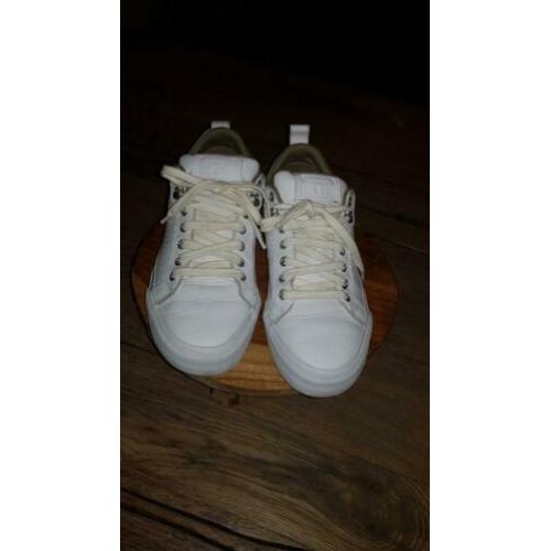 Store converse schoenen maat 40als nieuw
