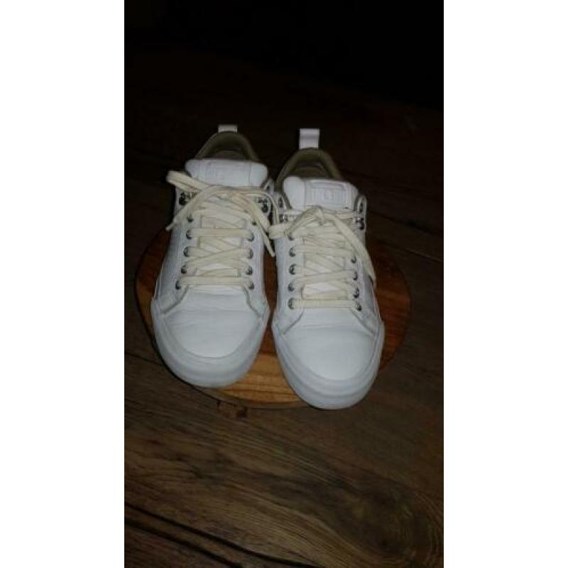 Store converse schoenen maat 40als nieuw
