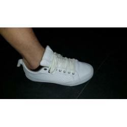 Store converse schoenen maat 40als nieuw