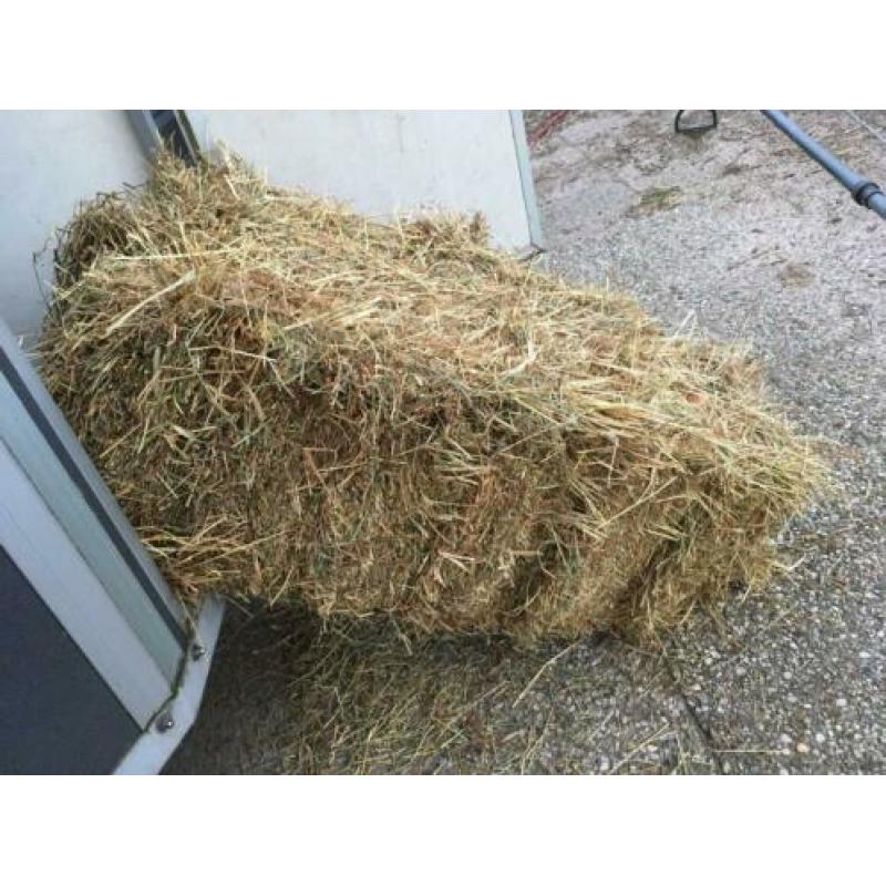 Baaltjes hooi (75 stuks) voor o.a. paarden