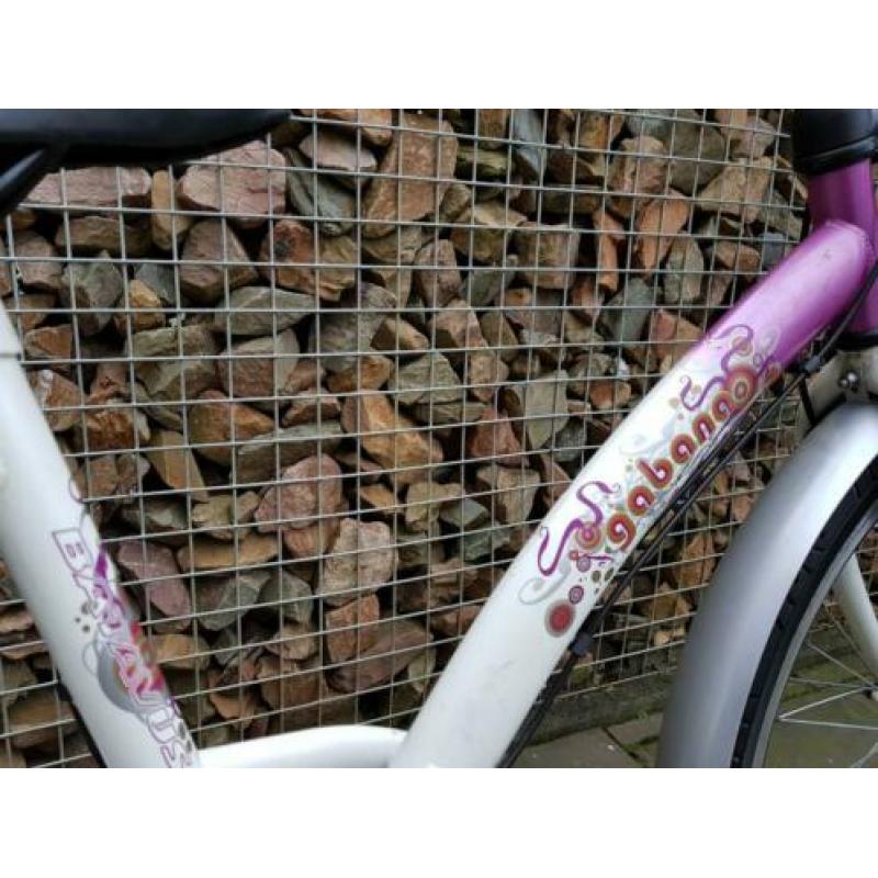 Nette 24" Batavus Gabana meisjesfiets met 3 versnellingen