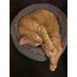 Kattenmand