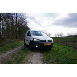 Volkswagen Caddy 1.6 tdi 75KW 102pk 2012 marge airco cruise
