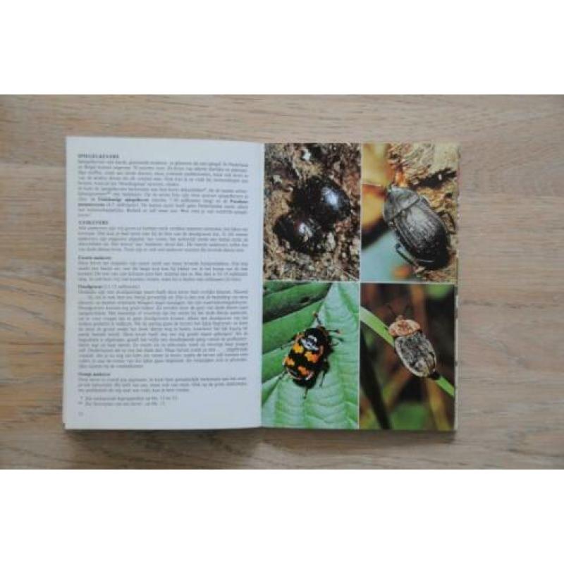 Kevers jeugd editie Thieme insekten 96 kevers in kleur