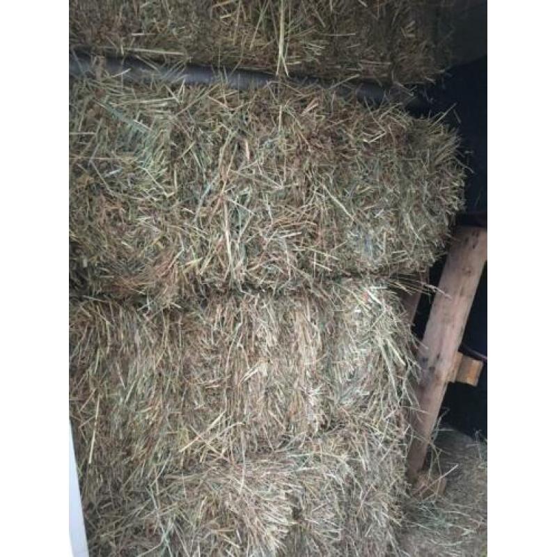 Baaltjes hooi (75 stuks) voor o.a. paarden