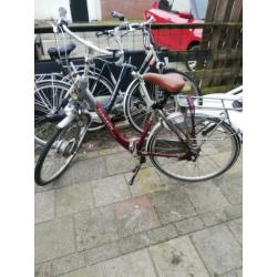 gazelle orange innergy zonder accu