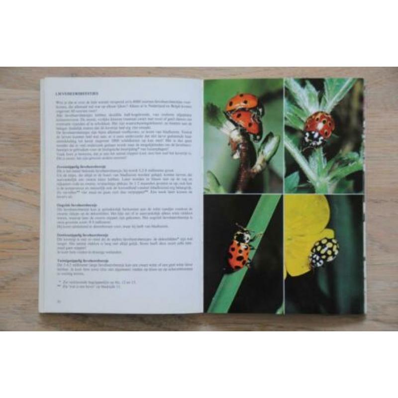 Kevers jeugd editie Thieme insekten 96 kevers in kleur