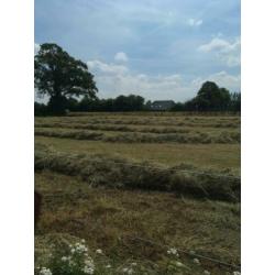 Baaltjes hooi (75 stuks) voor o.a. paarden