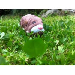 Zhu Zhu pets
