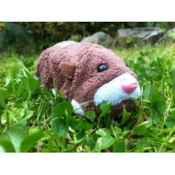 Zhu Zhu pets
