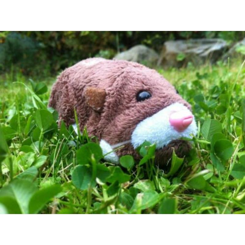 Zhu Zhu pets