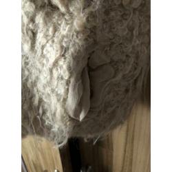 Humanoid vest