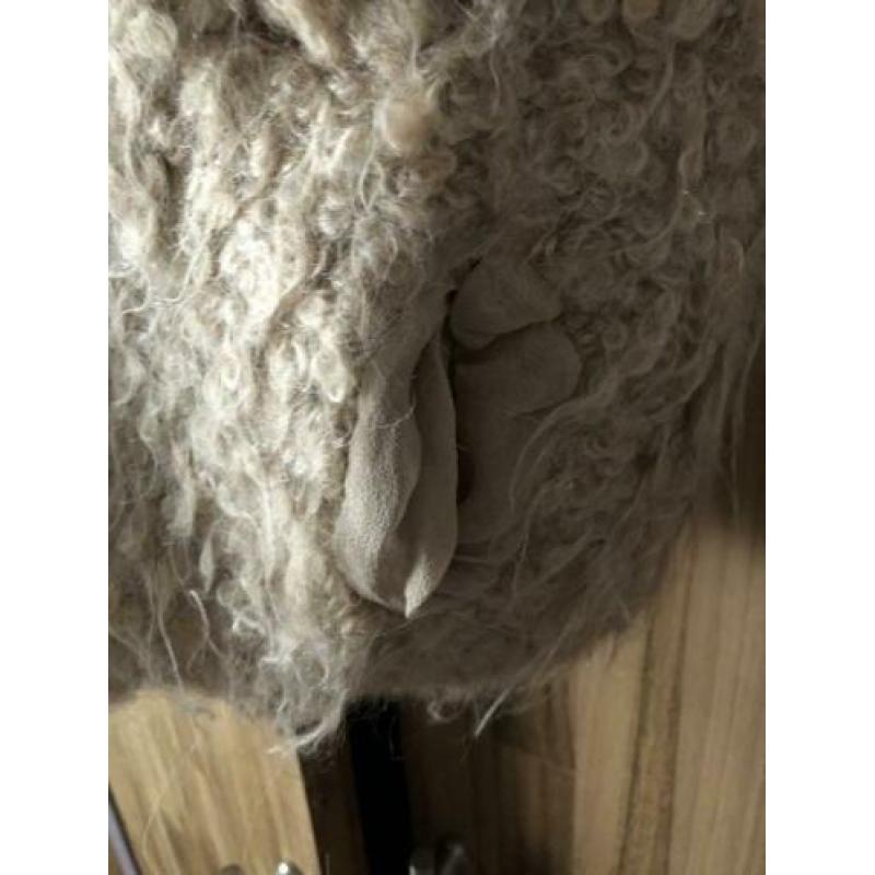Humanoid vest
