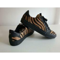 supertrash ST maat 37 animal schoenen