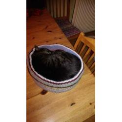 Kattenmand