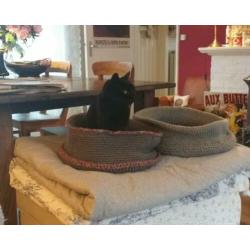 Kattenmand