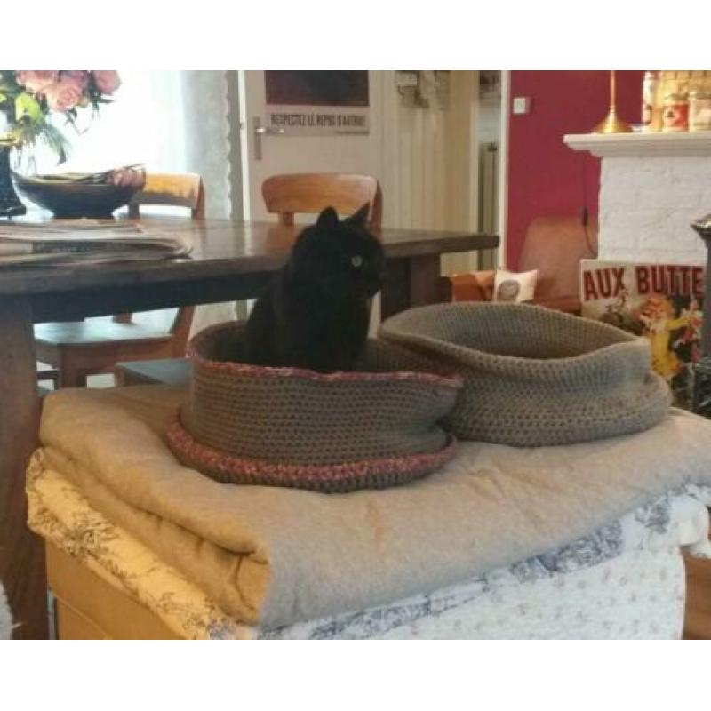 Kattenmand