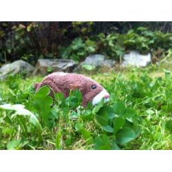 Zhu Zhu pets