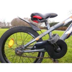 mooie 16'' alpina power bike
