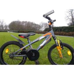 mooie 16'' alpina power bike