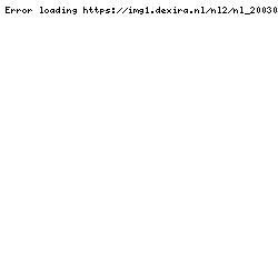 Schoolplaat zoetwatersalamander