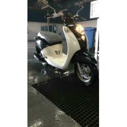 Sym mio brom 300