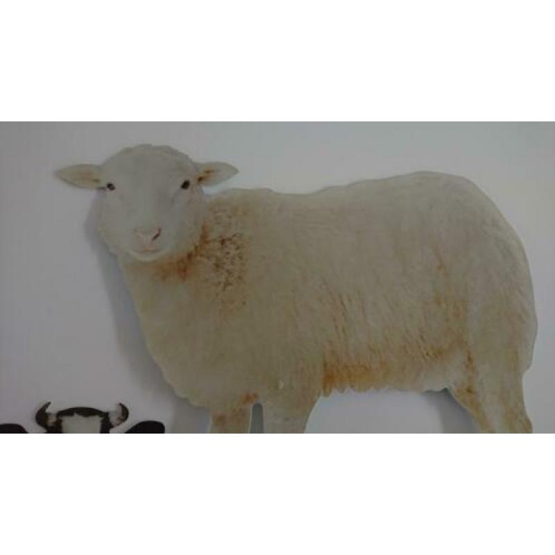 decoratie schaap 30x29 en koe 35x22 van metaal