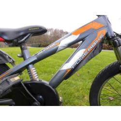 mooie 16'' alpina power bike