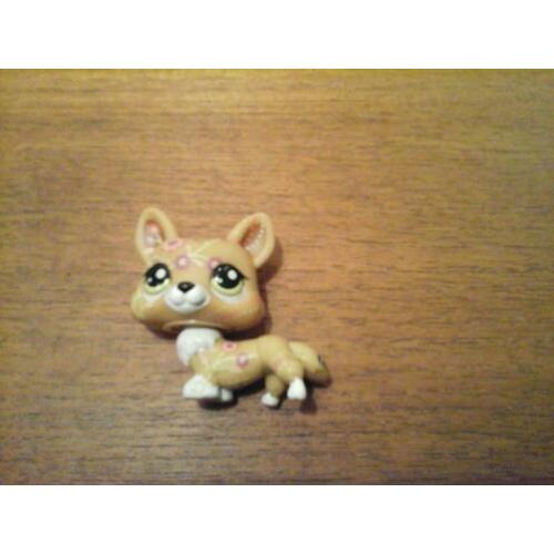 Littlest pet shop corgi bloem petshop