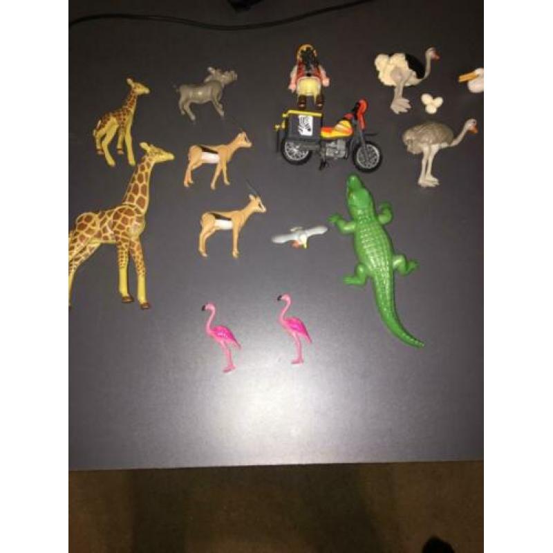 Playmobil safari set
