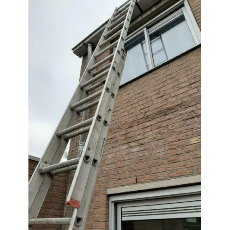 Altrex Ladder (700)