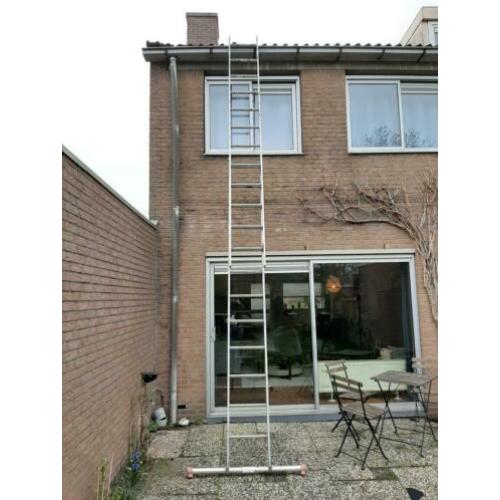 Altrex Ladder (700)
