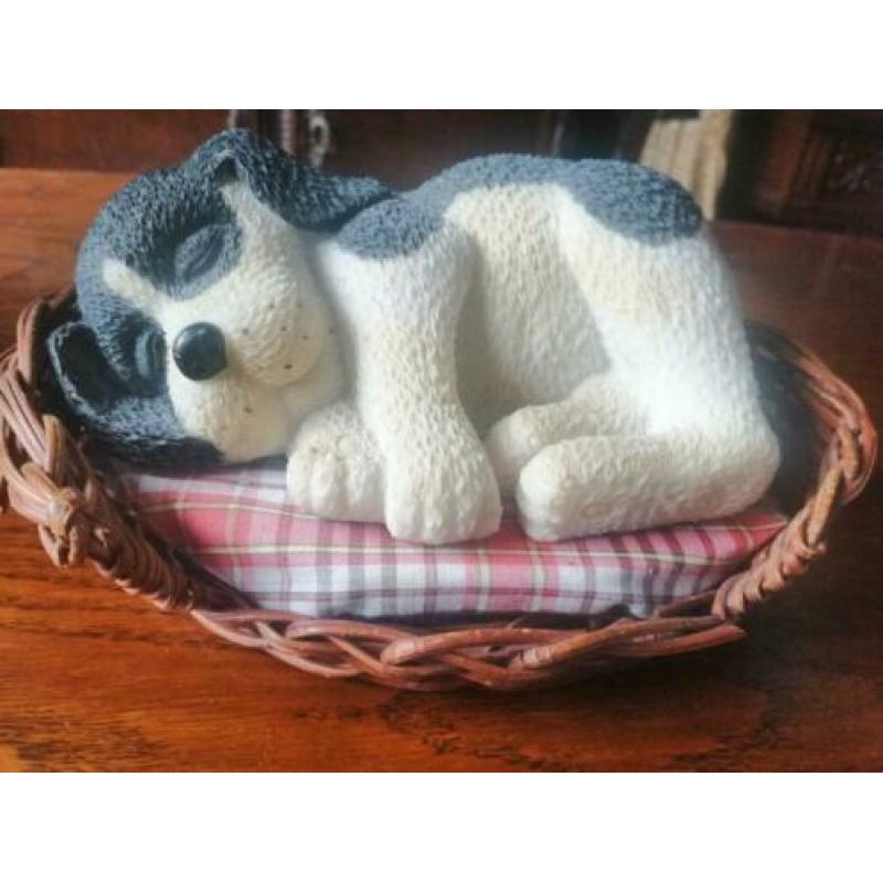 Spaarpot hondje in zijn mandje