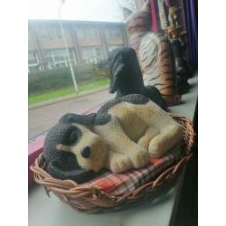 Spaarpot hondje in zijn mandje