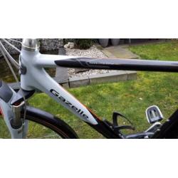Gazelle Allure limited edition v24