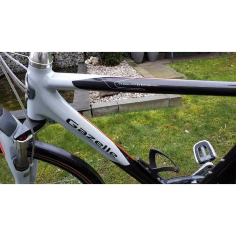 Gazelle Allure limited edition v24
