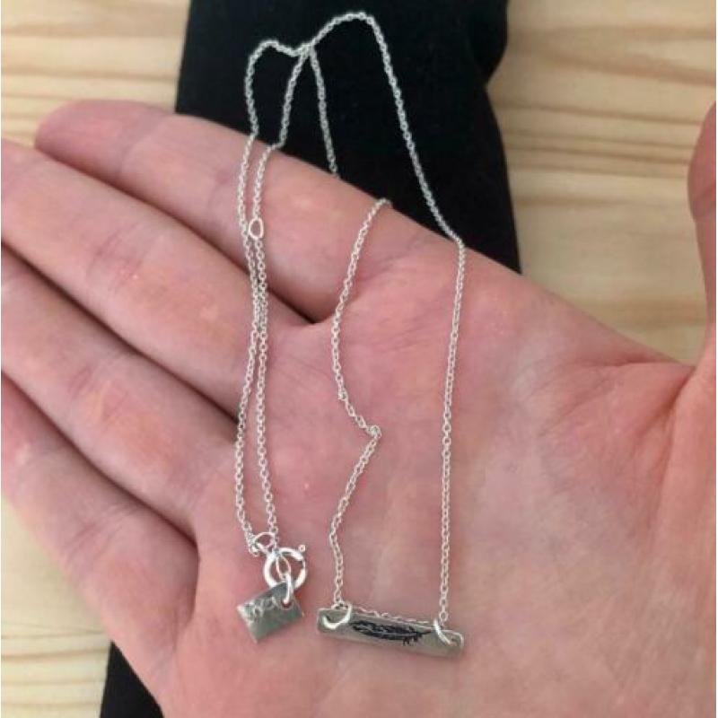 Minimalistische zilveren ketting met hanger