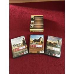 verschillende paarden dvds