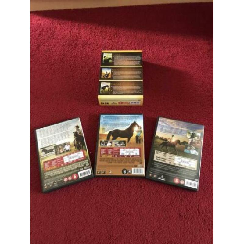 verschillende paarden dvds