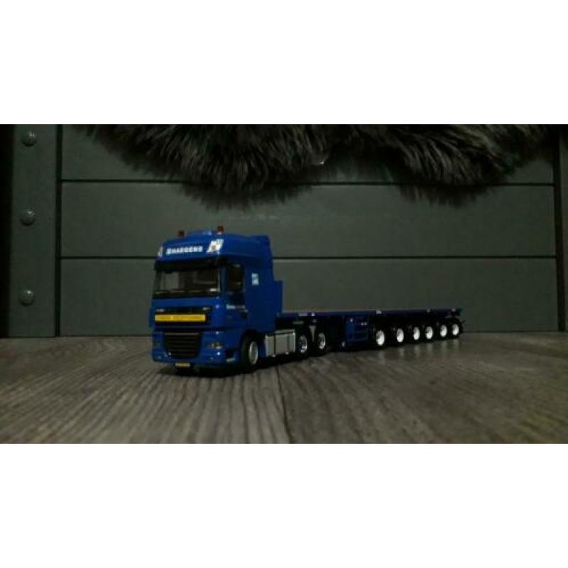 Nette daf haegens