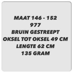 Maat 146 / 152 - korte mouw tshirts - diverse