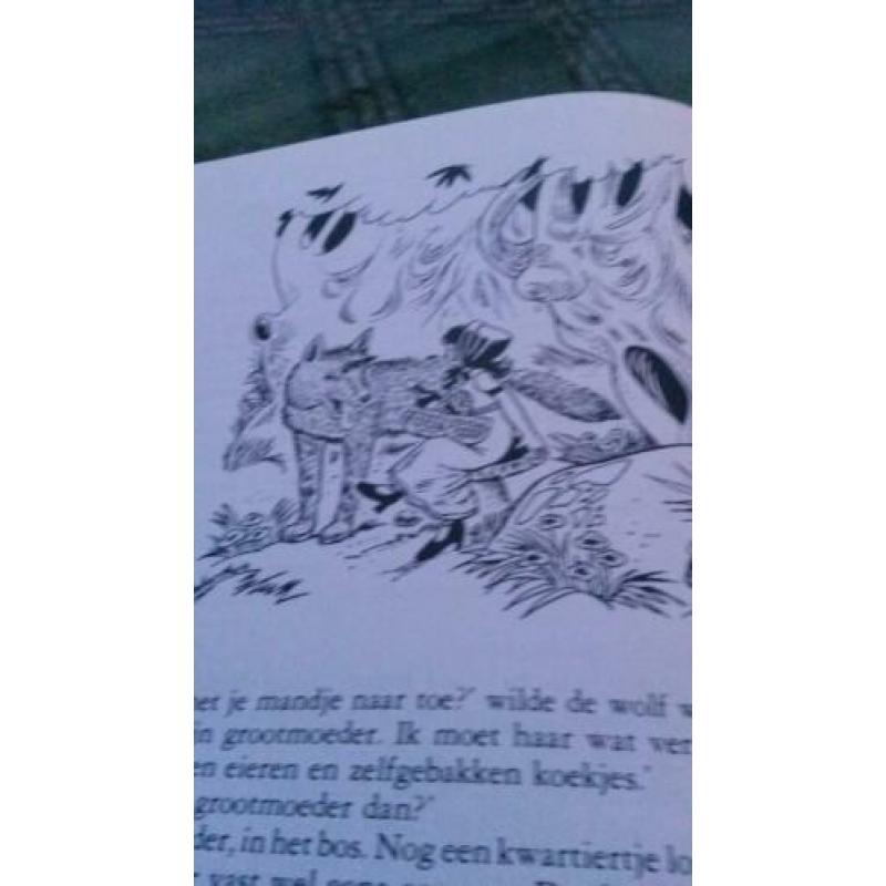 De sprookjes can Grimm