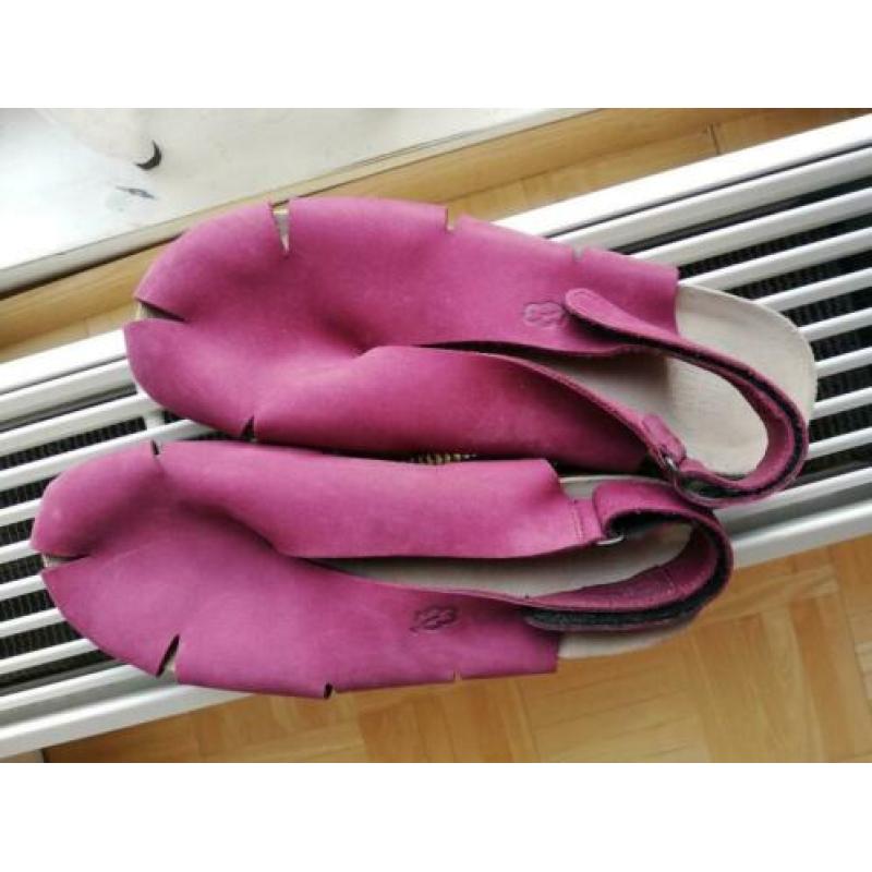 Fantastische fuchsia Loints of Holland maat 41