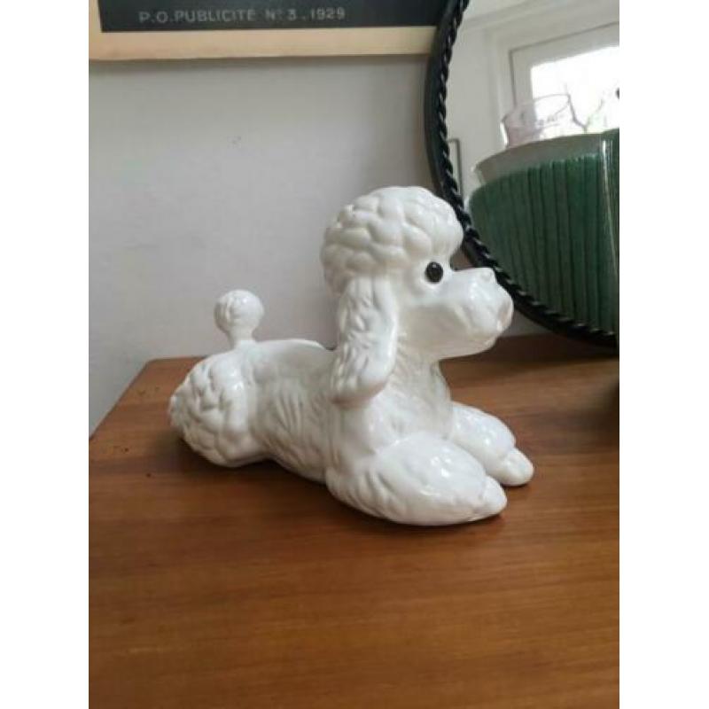 Kitsch honden beeldje - vintage poedel